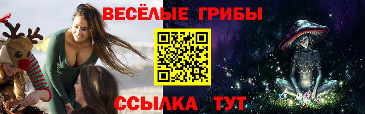 Выборг  Псилоцибиновые грибы Psilocybe  Галлюциногенные грибы мухоморы  Вход с VPN 